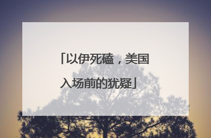 以伊死磕，美国入场前的犹疑