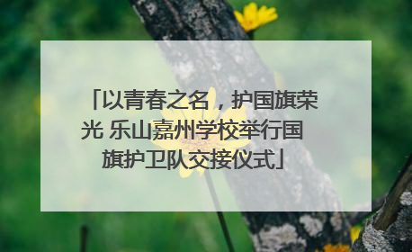 以青春之名，护国旗荣光 乐山嘉州学校举行国旗护卫队交接仪式