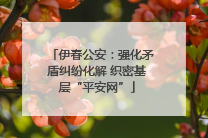 伊春公安：强化矛盾纠纷化解 织密基层“平安网”