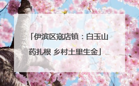 伊滨区寇店镇：白玉山药扎根 乡村土里生金