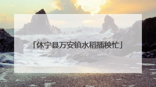 休宁县万安镇水稻插秧忙
