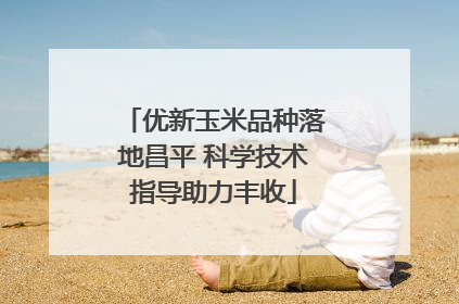 优新玉米品种落地昌平 科学技术指导助力丰收