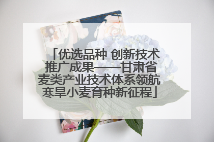 优选品种 创新技术 推广成果——甘肃省麦类产业技术体系领航寒旱小麦育种新征程