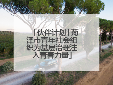 伙伴计划│菏泽市青年社会组织为基层治理注入青春力量