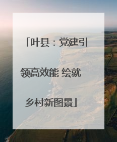 叶县：党建引领高效能 绘就乡村新图景