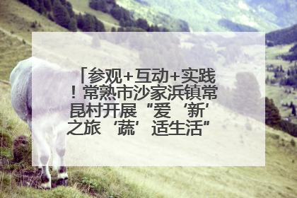 参观+互动+实践！常熟市沙家浜镇常昆村开展“爱‘新’之旅‘蔬’适生活”参观学习活动