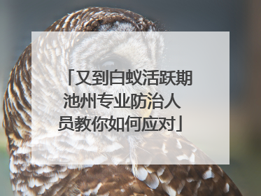 又到白蚁活跃期 池州专业防治人员教你如何应对