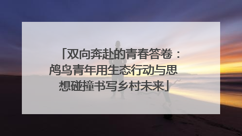 双向奔赴的青春答卷：鸬鸟青年用生态行动与思想碰撞书写乡村未来