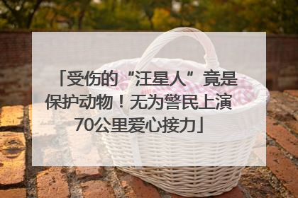 受伤的“汪星人”竟是保护动物！无为警民上演70公里爱心接力
