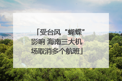 受台风“蝴蝶”影响 海南三大机场取消多个航班