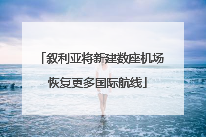 叙利亚将新建数座机场 恢复更多国际航线