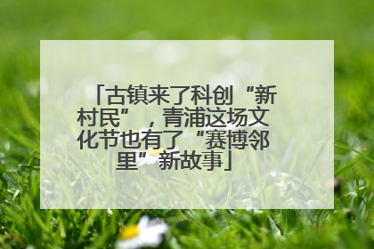 古镇来了科创“新村民”，青浦这场文化节也有了“赛博邻里”新故事