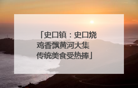 史口镇：史口烧鸡香飘黄河大集 传统美食受热捧