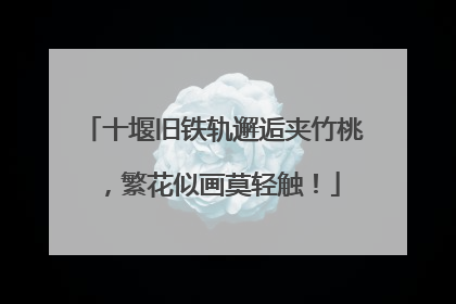 十堰旧铁轨邂逅夹竹桃，繁花似画莫轻触！