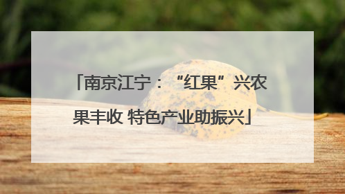 南京江宁：“红果”兴农果丰收 特色产业助振兴
