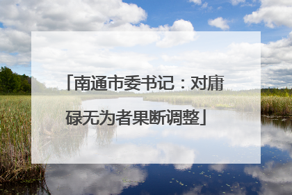 南通市委书记：对庸碌无为者果断调整