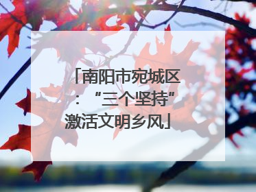 南阳市宛城区：“三个坚持”激活文明乡风
