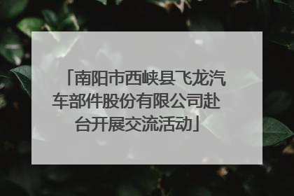 南阳市西峡县飞龙汽车部件股份有限公司赴台开展交流活动