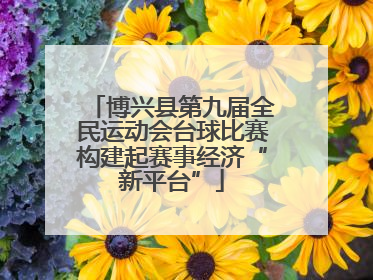 博兴县第九届全民运动会台球比赛构建起赛事经济“新平台”