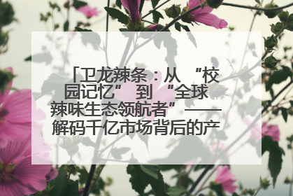 卫龙辣条：从 “校园记忆” 到 “全球辣味生态领航者”——解码千亿市场背后的产品创新与全链路破圈