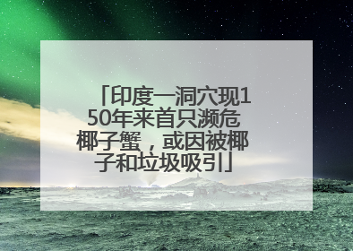 印度一洞穴现150年来首只濒危椰子蟹，或因被椰子和垃圾吸引