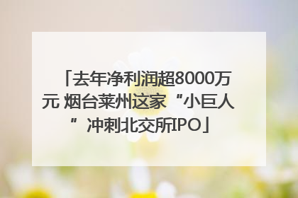 去年净利润超8000万元 烟台莱州这家“小巨人”冲刺北交所IPO