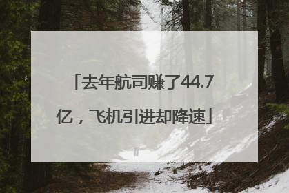 去年航司赚了44.7亿，飞机引进却降速