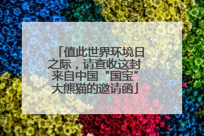 值此世界环境日之际，请查收这封来自中国“国宝”大熊猫的邀请函