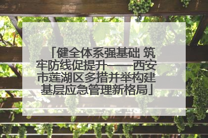 健全体系强基础 筑牢防线促提升——西安市莲湖区多措并举构建基层应急管理新格局
