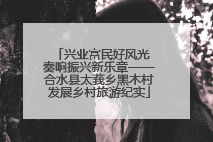 兴业富民好风光 奏响振兴新乐章——合水县太莪乡黑木村发展乡村旅游纪实