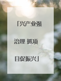 兴产业强治理 抓项目促振兴