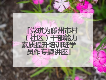 党琪为滕州市村（社区）干部能力素质提升培训班学员作专题讲座