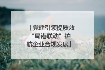 党建引领提质效 “局港联动”护航企业合规发展