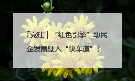 党建｜“红色引擎”助民企发展驶入“快车道”