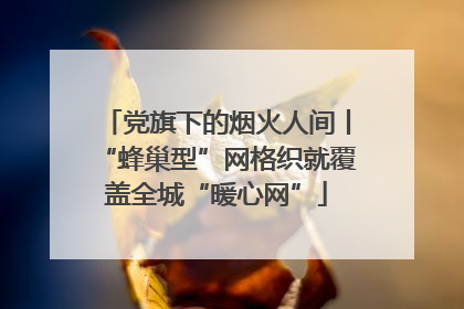 党旗下的烟火人间丨“蜂巢型”网格织就覆盖全城“暖心网”