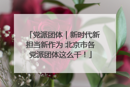党派团体｜新时代新担当新作为 北京市各党派团体这么干！