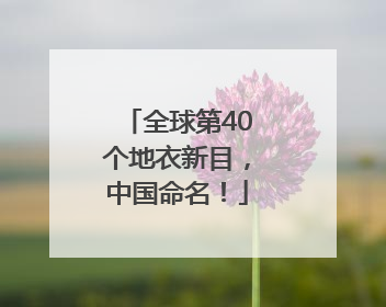 全球第40个地衣新目，中国命名！