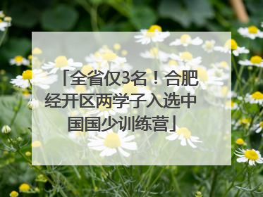 全省仅3名！合肥经开区两学子入选中国国少训练营