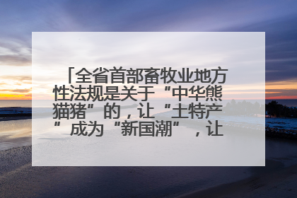全省首部畜牧业地方性法规是关于“中华熊猫猪”的，让“土特产”成为“新国潮”，让“农产品”升格为“城市IP”