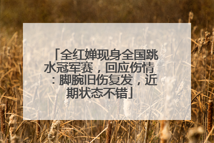 全红婵现身全国跳水冠军赛，回应伤情：脚腕旧伤复发，近期状态不错