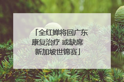 全红婵将回广东康复治疗 或缺席新加坡世锦赛