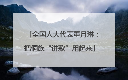 全国人大代表董月琳：把侗族“讲款”用起来
