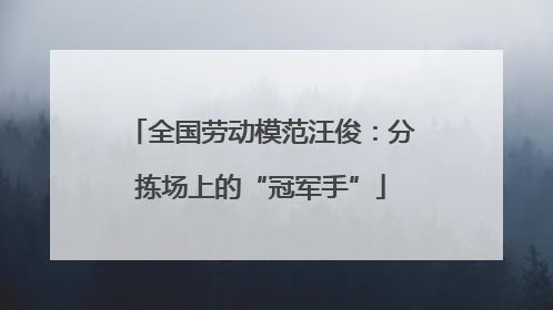全国劳动模范汪俊：分拣场上的“冠军手”