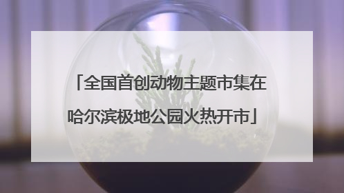 全国首创动物主题市集在哈尔滨极地公园火热开市