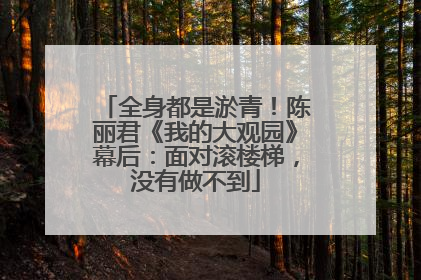 全身都是淤青！陈丽君《我的大观园》幕后：面对滚楼梯，没有做不到