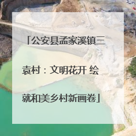 公安县孟家溪镇三袁村：文明花开 绘就和美乡村新画卷