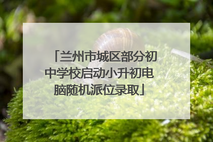 兰州市城区部分初中学校启动小升初电脑随机派位录取