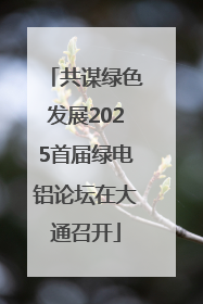共谋绿色发展2025首届绿电铝论坛在大通召开