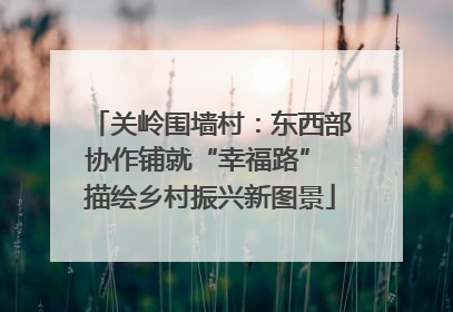 关岭围墙村：东西部协作铺就“幸福路” 描绘乡村振兴新图景