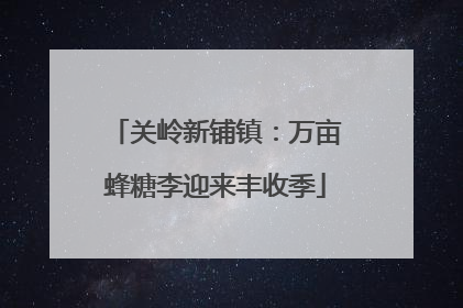 关岭新铺镇：万亩蜂糖李迎来丰收季